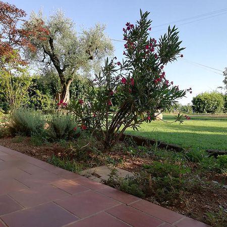 Villa Caterina Country Apartment Bedizzol Exterior foto