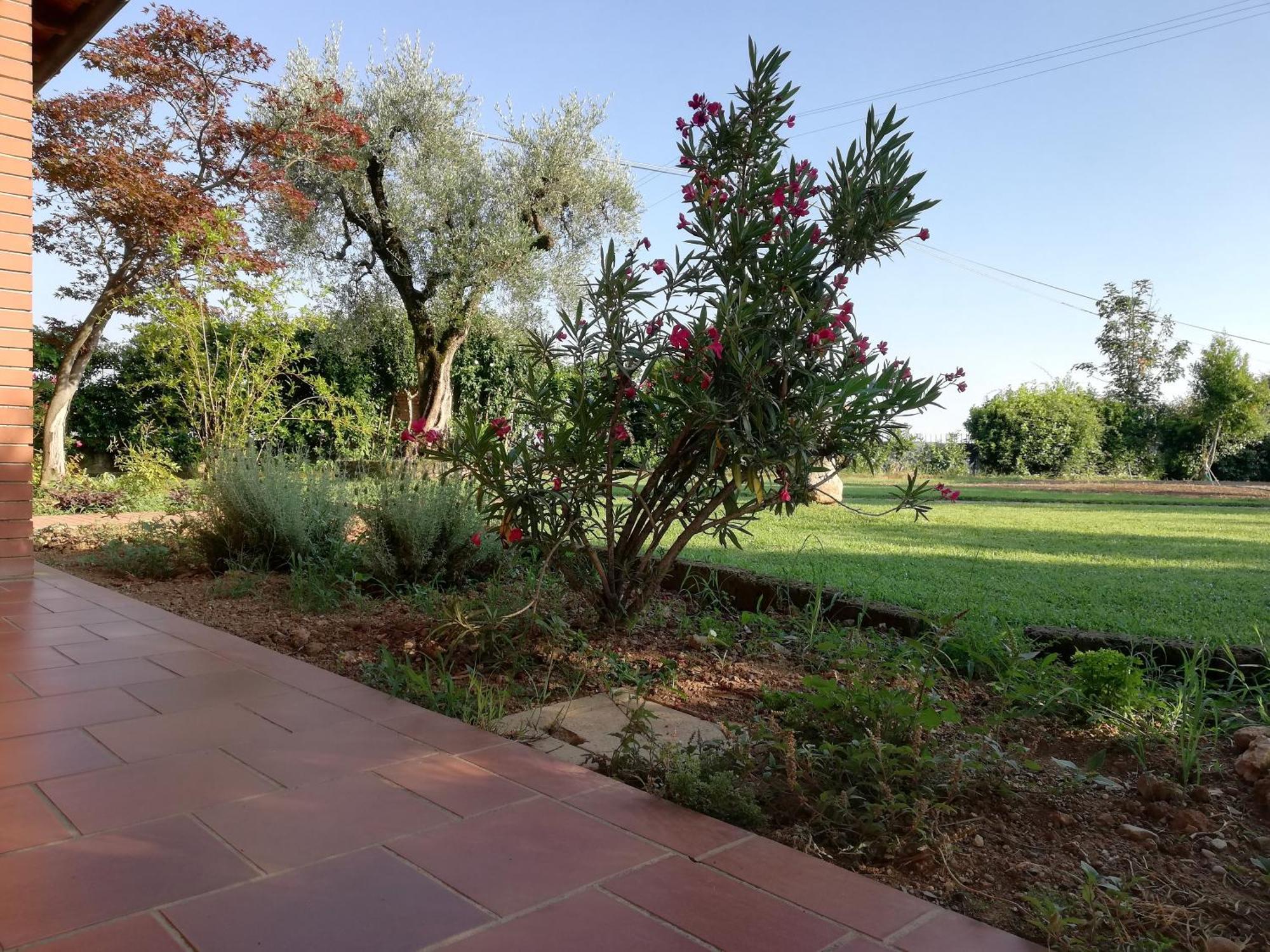 Villa Caterina Country Apartment Bedizzol Exterior foto